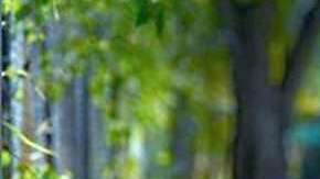 En las imágenes filtradas se ve a Zelina posando desnuda, mostrando su cuerpo mientras se toma selfies.