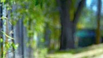 En las imágenes filtradas se ve a Zelina posando desnuda, mostrando su cuerpo mientras se toma selfies.