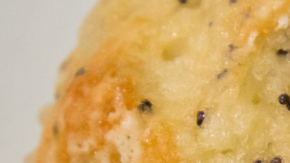 Muffin publicado por la CDC que entre sus semillas esconde cinco garrapatas.