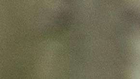 La población de leopardos de Amur se estima en unos cincuenta en la naturaleza en todo el mundo.