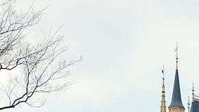 Se puede ir a precios razonables. Getty Images.