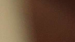 USCIS aplica poco a poco la orden ejecutiva del presidente Trump.