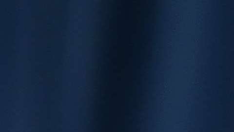 "Estos estados representan a 140 millones de personas que simplemente quieren automóviles más limpios y eficientes", dijo Jerry Brown.