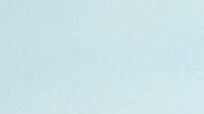 Hart Island es la fosa común de Nueva York.