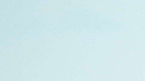 Hart Island es la fosa común de Nueva York.