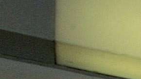 El gobierno no decide aumentar el número de visas temporales de trabajo para 2018