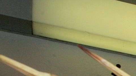 El gobierno no decide aumentar el número de visas temporales de trabajo para 2018