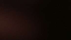 Arpaio busca posicionarse como el candidato Trump para el Senado