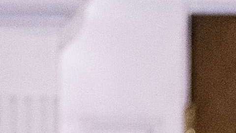 Los reportes descarta que Trump quiera despedir a Giuliani.