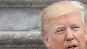 La exprimera dama Michelle Obama dice que no entiende cómo se dejó ganar a Trump.