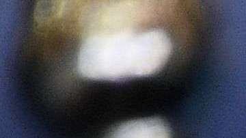 El jefe de gabinete de Trump dijo que el Congreso debe ayudar a los Tepesianos