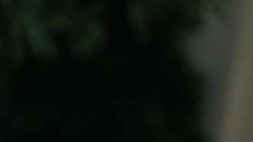 Trump pretende aumentar tarifas a los autos extranjeros.