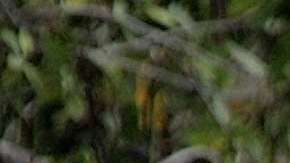 Alberto da inicio a la temida temporada de huracanes en el Atlántico