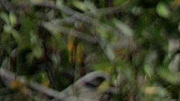 Alberto da inicio a la temida temporada de huracanes en el Atlántico