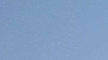 ICE iba por seis indocumentados y terminaron arrestando a 27 inmigrantes