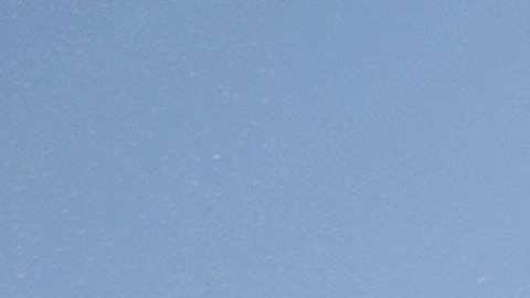 ICE iba por seis indocumentados y terminaron arrestando a 27 inmigrantes