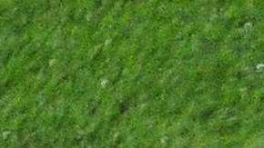 Iniesta, Torres y Villa celebran un gol de este último durante la Euro 2018.