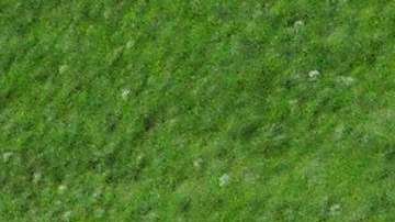 Iniesta, Torres y Villa celebran un gol de este último durante la Euro 2018.