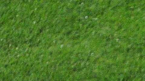 Iniesta, Torres y Villa celebran un gol de este último durante la Euro 2018.