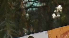 Los "Dreamers" continúan su lucha por permanecer en EEUU.