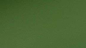 Reportan que cada vez menos Melania habla o pasa tiempo privado con Trump