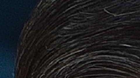 Los presidentes Xi Jinping y Donald Trump.