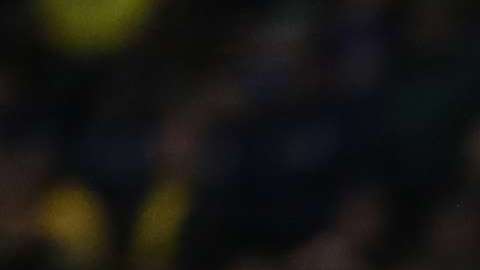 Quedó definida la lista de la selección de Suecia para el Mundial