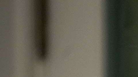 Barron Trump tiene pocas apariciones públicas.