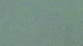 El Servicio Secreto de le seguía la pista al joven por comentarios que había hecho en internet sobre Trump