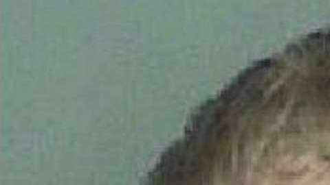 El Servicio Secreto de le seguía la pista al joven por comentarios que había hecho en internet sobre Trump