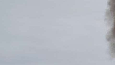 Marines mexicanos observan la quema de toneladas de drogas en Veracruz