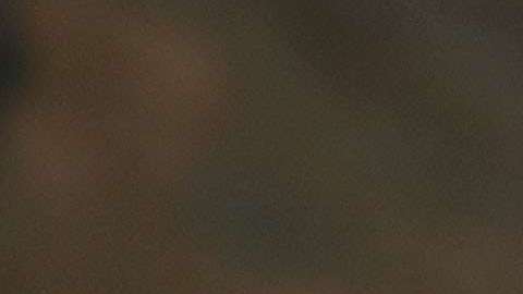 El presidente Trump tiene al menos dos teléfonos celulares.