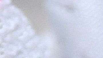 La selección de Francia ya tiene su lista de 23 convocados al Mundial