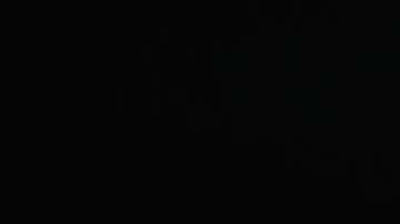 La secretaria Nielsen acudió al Senado.