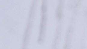 La mitad de los 150 migrantes de la caravana son padres o madres con sus niños pequeños (Foto: agencias)