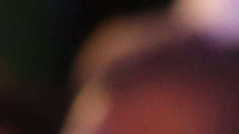 Ivanka Trump y Jared Kushner (centro) llegaron esta mañana a Israel.