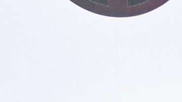 Blake Lively y Ryan Reynolds en la premiere de Deadpool 2 en Nueva York.