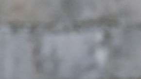 Los novios habían pedido como regalo de bodas donaciones para organizaciones benéficas.