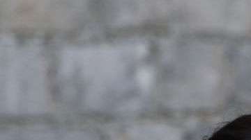 Los novios habían pedido como regalo de bodas donaciones para organizaciones benéficas.