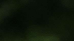 El presidente Trump ha bloqueado en Twitter a quienes critican sus políticas.