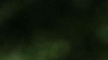 Donald Trump. Getty Images