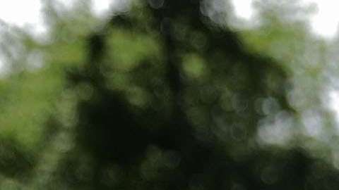 El presidente Trump criticó esta miércoles el "Estado profundo".