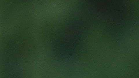 Todavía no se descarta la histórica cumbre entre los dos líderes