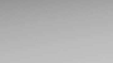 Si el dueño no los reclama, pasarán a manos del barrendero.