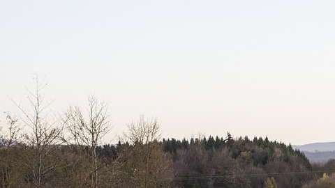 Aquí es posible tener licencia si vives ahí.