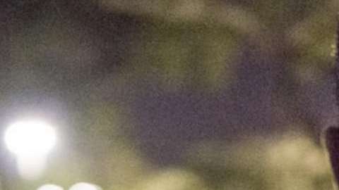 La redada se realizó en 37 comunidades.