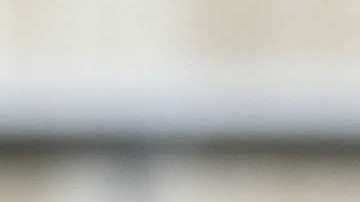 Imagen de archivo de Rafa Márquez y Carlos Vela en la selección mexicana