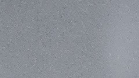 Javier "Chicharito" Hernández reforzaría a Chivas los próximos seis meses