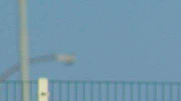 Diego de Buen puede tener minutos de juego, pese que aún se recupera de una parálisis facial