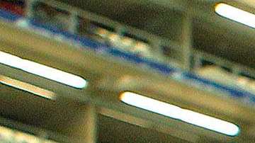 Matías Almeyda, técnico de Chivas de Guadalajara